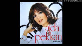 Ajda Pekkan-Yeniden Başlasın(İnstrumental Karaoke) 1979