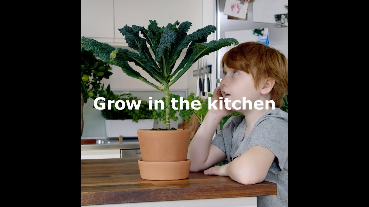 kitchendraw IKEA - The future professor on growing (short)