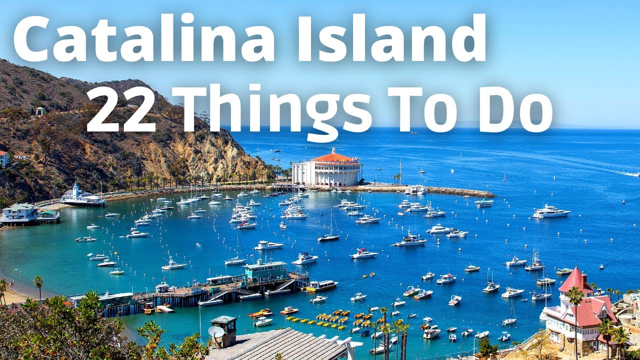 The 22 Best Things To Do In Catalina Island Youtube