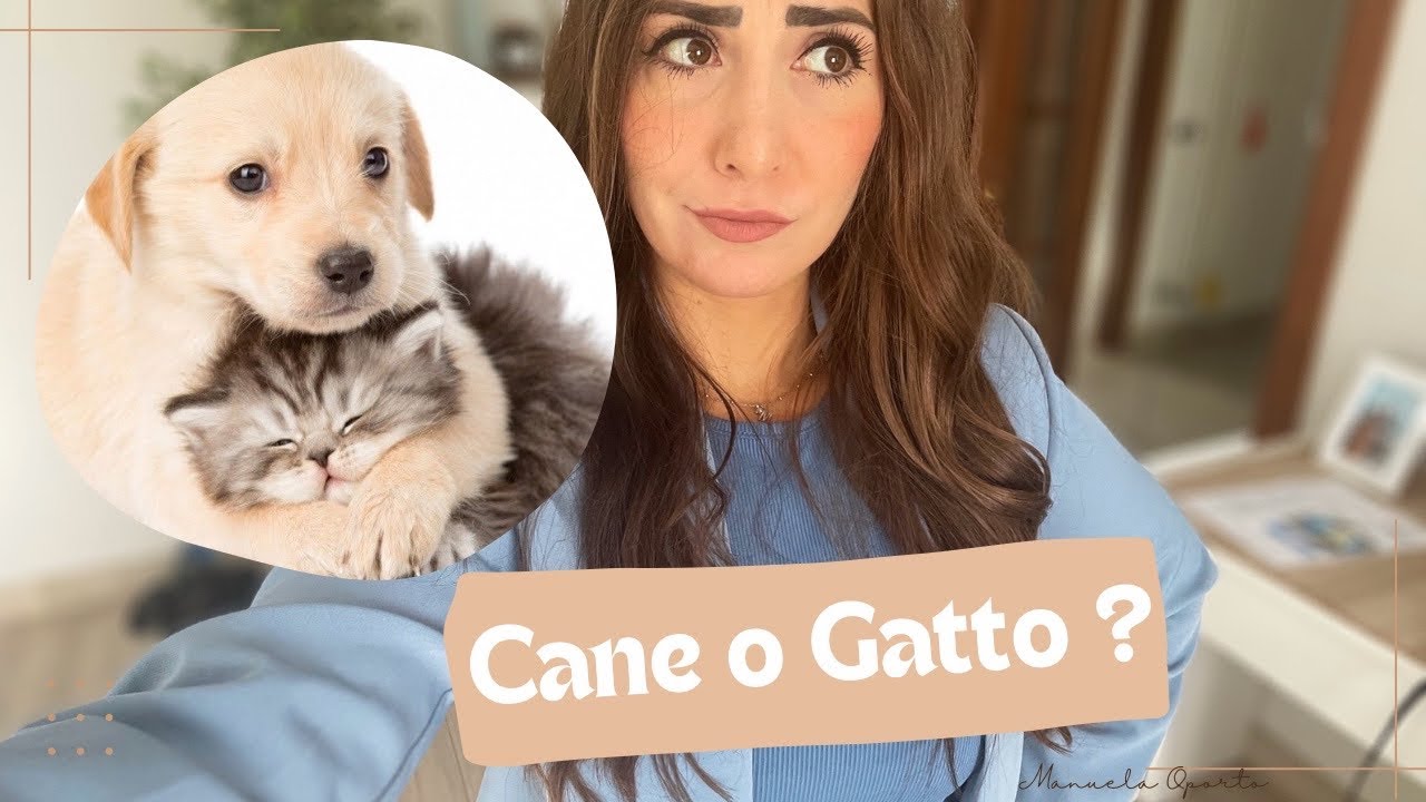 VLOG indecisa tra cane e gatto.Vorrei adottare un cucciolo //bonus