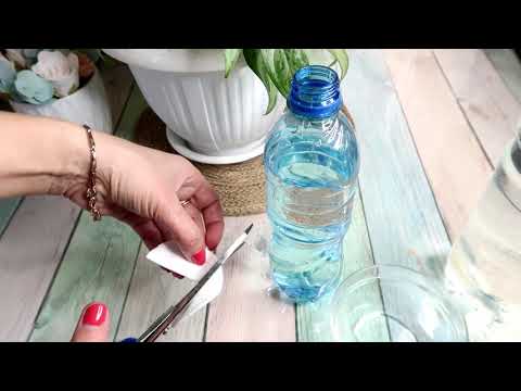 Видео: Полив из бутылок с газировкой - Узнайте, как сделать капельную подачу из бутылок с газировкой