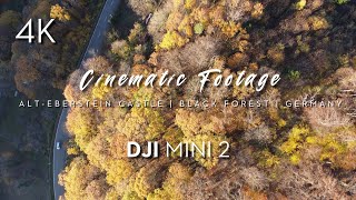 DJI MINI 2 | CINEMATIC FOOTAGE 4K | BLACK FOREST | GERMANY