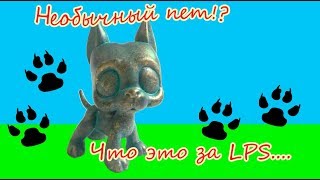 Lps Новинка Необычный Пет