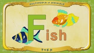 Multipedia Of Animals. Letter F - Fish