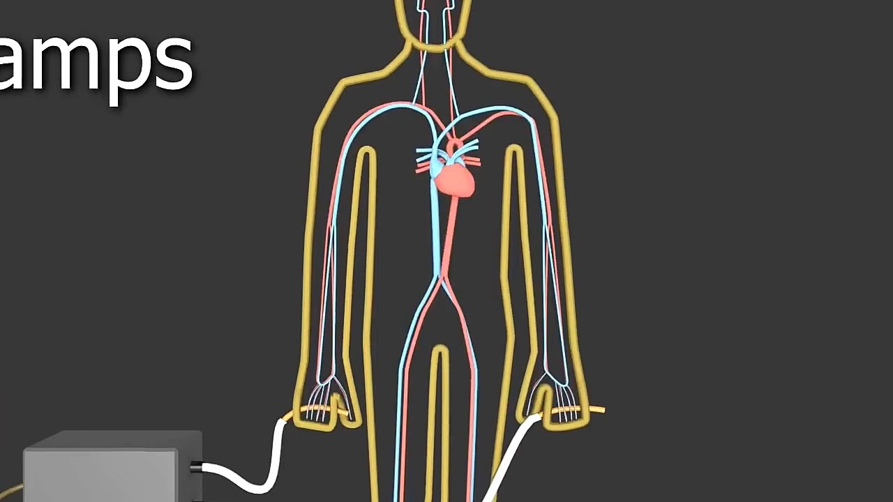Volts or amps?... Which one kills you YouTube