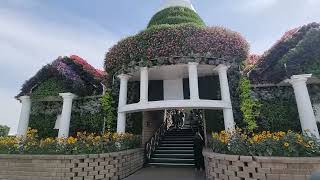 Dubai Miracle Garden 2024