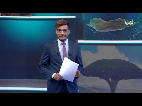 لجنة برلمانية تزور سقطرى لتقييم أداء السلطة المحلية