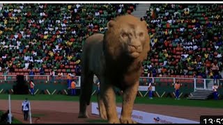 AMAZING-3D Lion Displayed During AFCON Opening Ceremony In Cameroon🇨🇲
