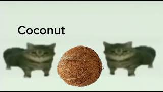 This Is A Coconut