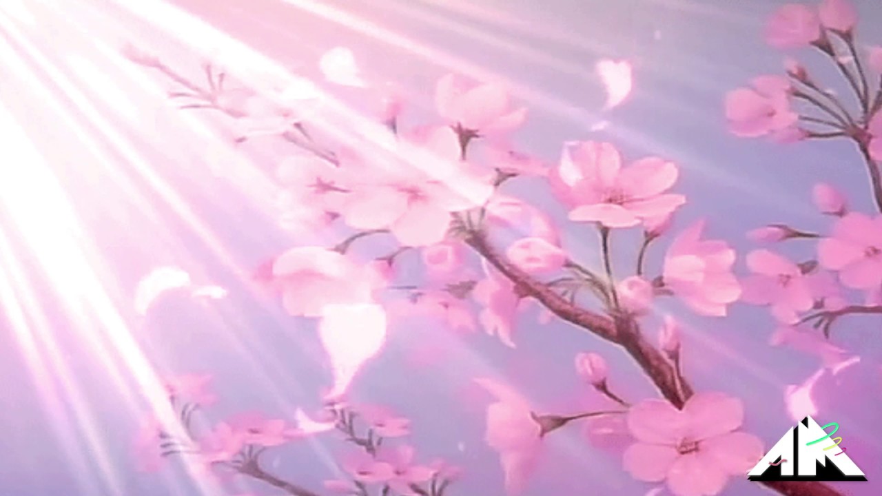 Mira FIBRE x VANTAGE - Celestial en YouTube Mira FIBRE x VANTAGE - Celestial en YouTube