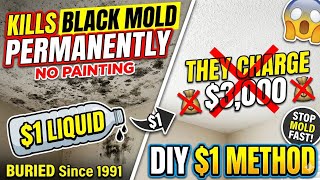 $1 Liquid KILLS Black Ceiling Mold PERMANENTLY. No Painting. BURIED Since 1991. They Charge $3,000