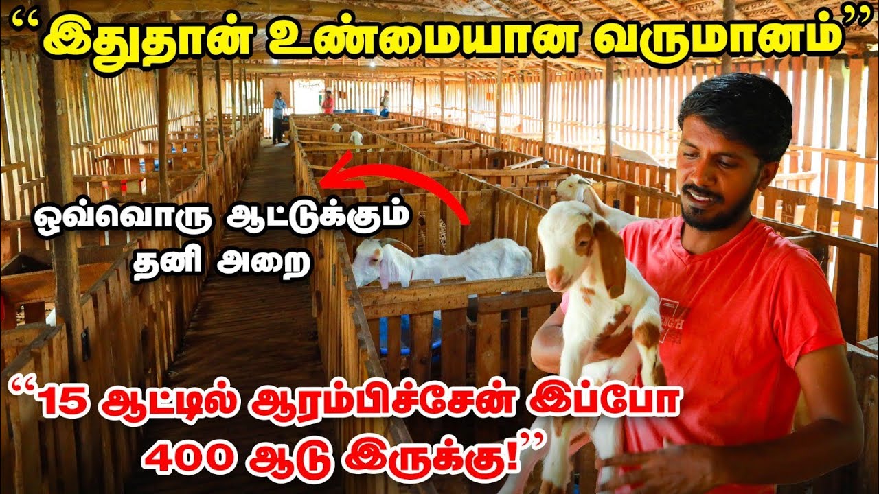 Erode Vinayaga Goat Farm: ஒரிஜினல் தலைச்சேரி : 400 ஆடுகள்... ஒவ்வொரு ஆட்டுக்கும் தனி அறை |