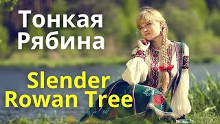 The Slender Rowan Tree   Russian folk song with double subtitles