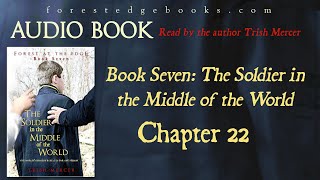 Audio book: Book 7 Chapter 22, The Soldier in the Middle of the World