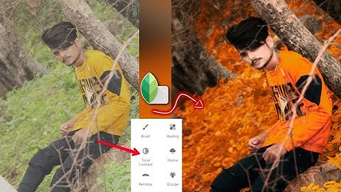 Snapseed Moody Orange Photo Editing + Snapseed Photo Editing Snapseed colour baground change.