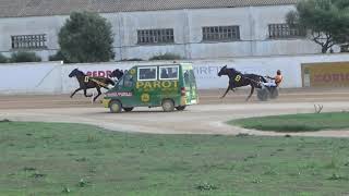 3ª Carrera 03102021