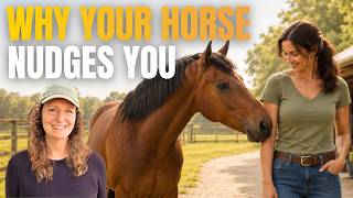 7 Reasons Your Horse Nudges You – And How to Respond