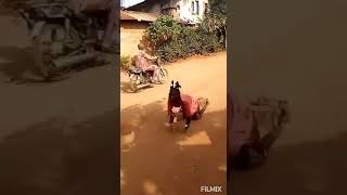 Verdadeira Obra Missionária