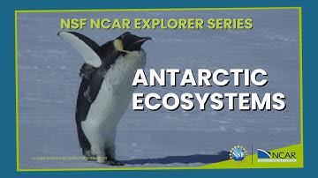 Antarctic ecosystems: From microscopic plants to penguins