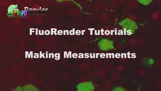 Celebrity FluoRender Tutorial Series: Making Measurements Wealth