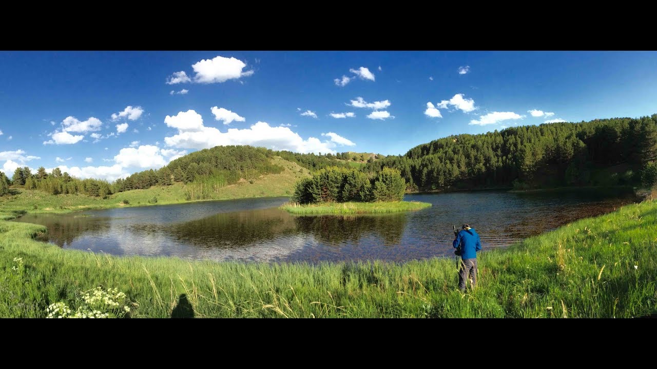 Orman gezisi (otlutepe ve Koyunören köyü narman)