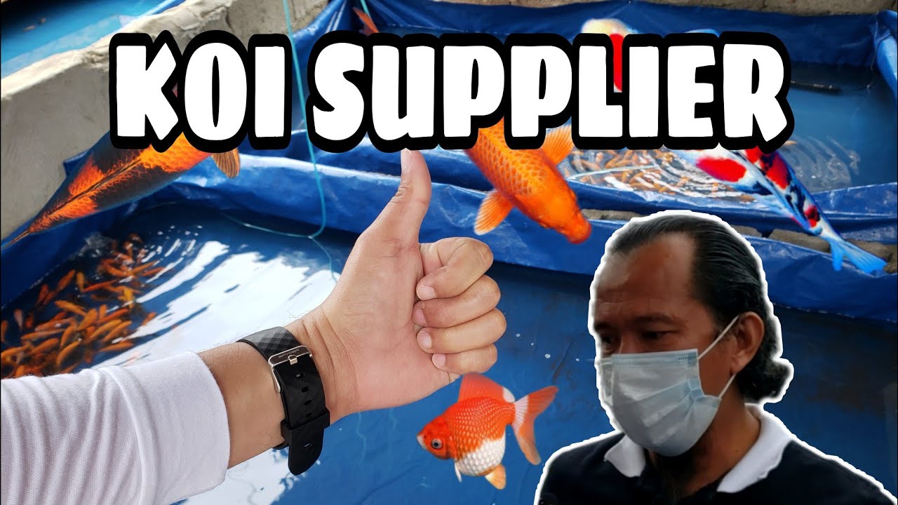 KOI FARM SA TUGBOK