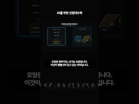 AI를 위한 선형대수 - 전단, 행렬식, 변환의 핵심