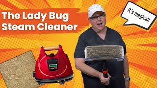 Ladybug Steam Cleaner: Cheryl Unveils Its Magic on Cork Floors and More!