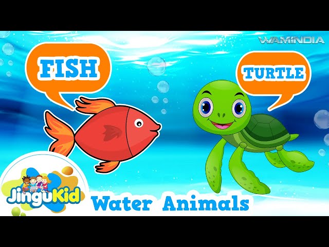 images of water animals for kids