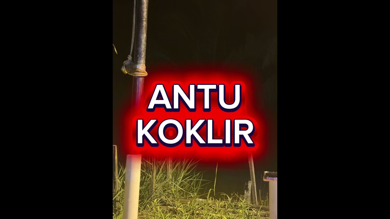 ANANG NINGA JERITA TU KEDIRI ! INDU ANTU KOKLIRRRRRRRRR