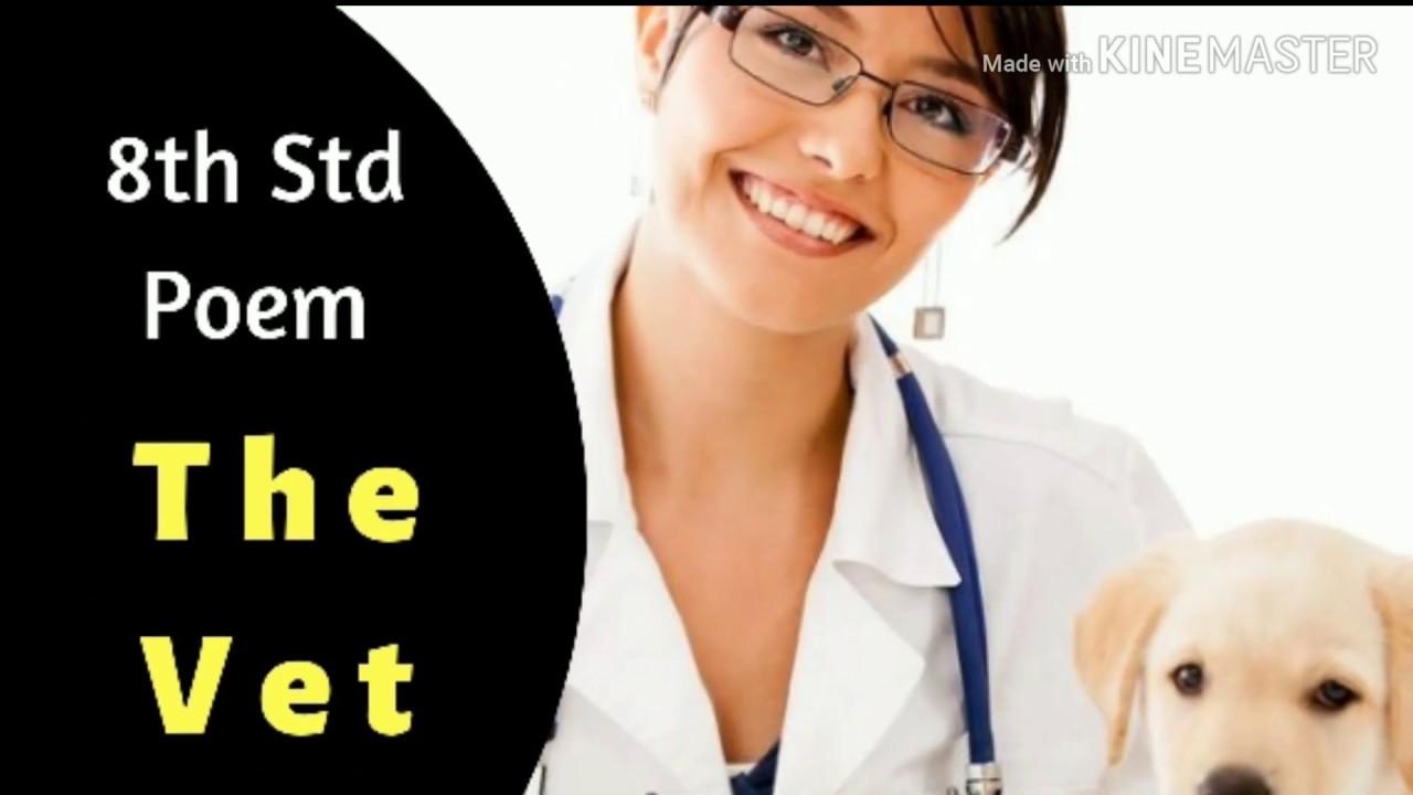 The Vet Poem 8th Class The Vet The Vet 8th Std Poem The Vet Poem Vet Poem 8th Class