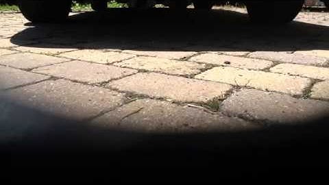 V6 firebird true dual