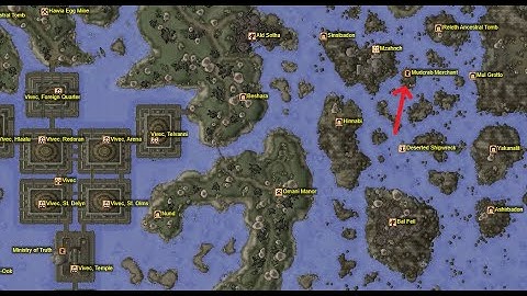 Morrowind Merchant Mudcrab