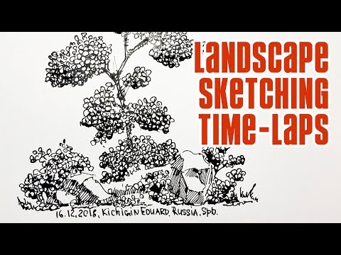 ⁣Landscape sketching - how to draw bushes beautifully and simply with a pen and ink.