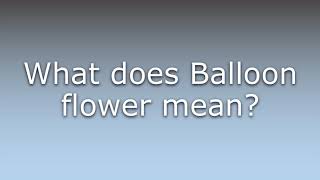 What does Balloon flower mean?