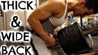 BACK AND BICEP WORKOUT