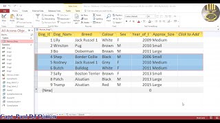 How to combine criteria and operators with SQL in MS Access