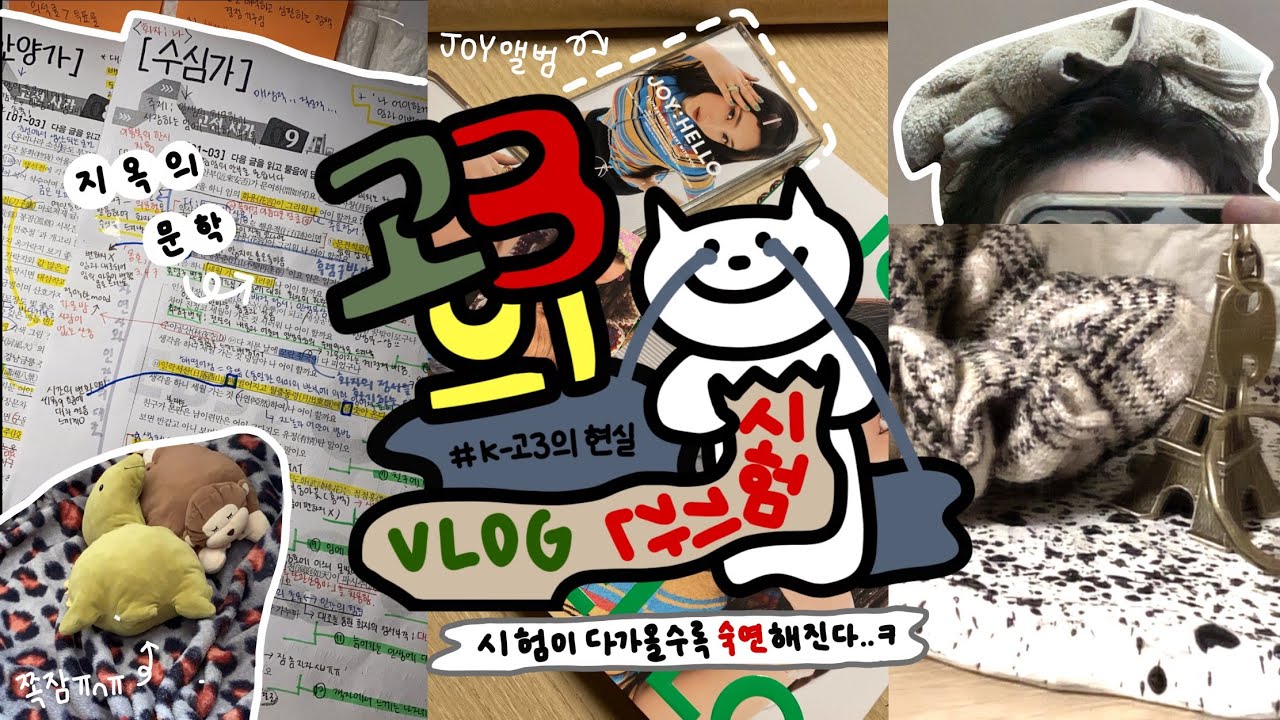 고3의 시험기간 브이로그 , 시험이 다가올수록 숙연해진다..🤔 • 공부브이로그 study vlog / 시험기간•일상•공부•고3•joy•앨범깡•온라인 클래스 ✨