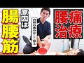 【この動画だけ見てください】腰痛治療で狙うべき「腸腰筋」の全てが分かる神ワザ治療法!