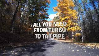 Dinex Exhibition Introduction