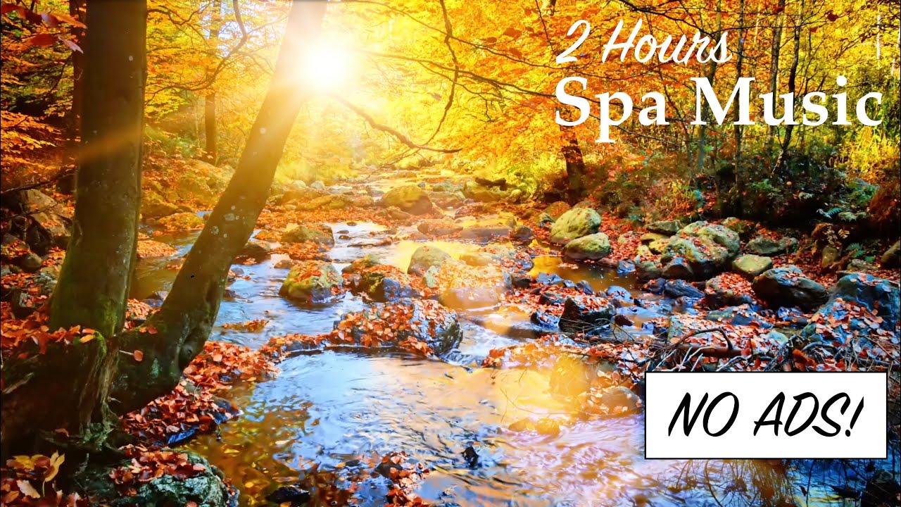 🌿 RELAXING MUSIC🎵 Beautiful Scenery  I    Woods Ambiance 🍂 Fall Season  I   NATURE🍂💧