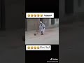 اااا يما لحنانة