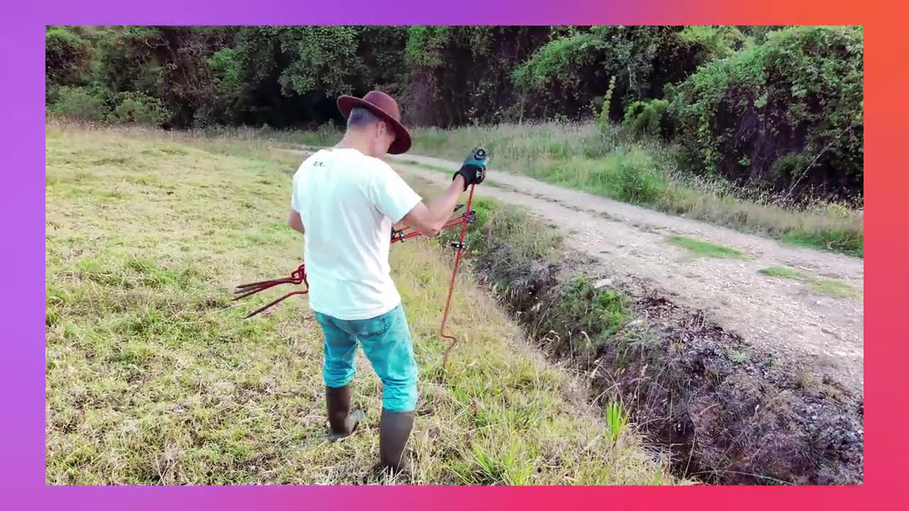 Farm Life: How I Move Cows & Sheep (Low-Stress + Electric Fence)