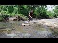 Amazing Catch Fish By Hand In River For Food In Jungle- Yummy Cooking Fish With Hot Green Tamarind