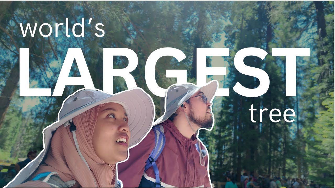 This is the Biggest Tree in the World!  Keren!!  - Sequoia National Park Adventure Vlog