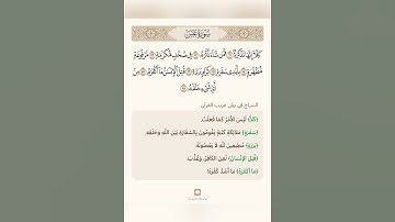 السراج في بيان غريب القران سورة عبس 2 تلاوة الشيخ سعد الغامدي