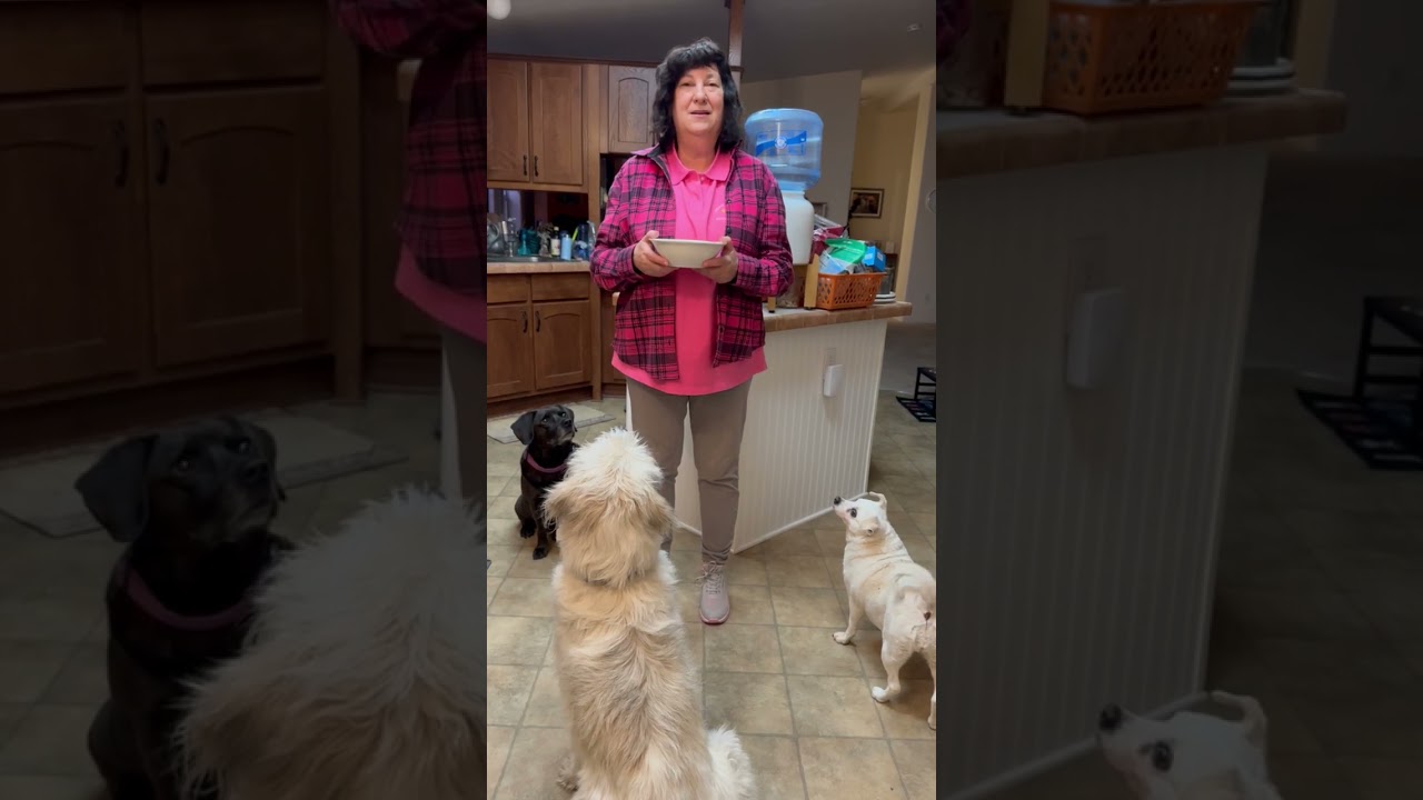 Start making homemade dog food! 