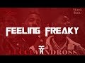 [FREE] Yung Bleu x YFN Lucci Type Beat 2018 | " Feeling Freaky"  | Lucci Vandross Type Instrumental