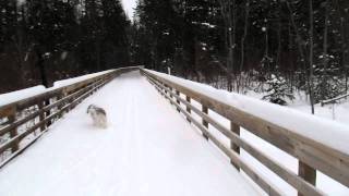 Three Eagles Trails Enjoy The 3 Eagle Trail