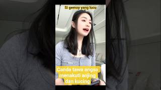 Keunikan canda tawanya kucing #funny #animals #kucinganggoralucudanimut #shortvideo #cat